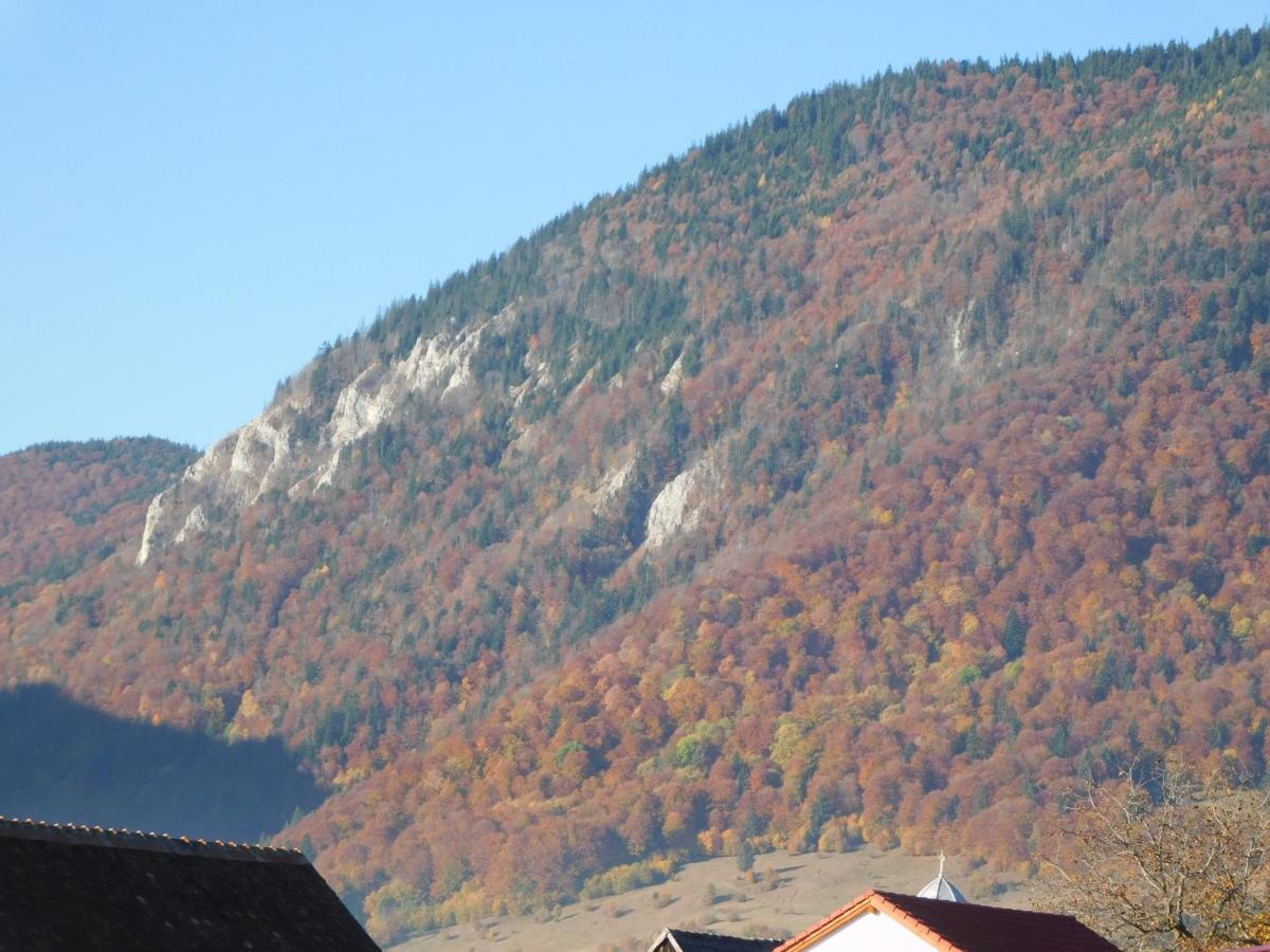 Mountain Vista Suites Zarnesti Exterior foto