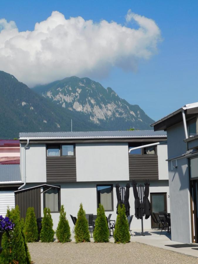 Mountain Vista Suites Zarnesti Exterior foto